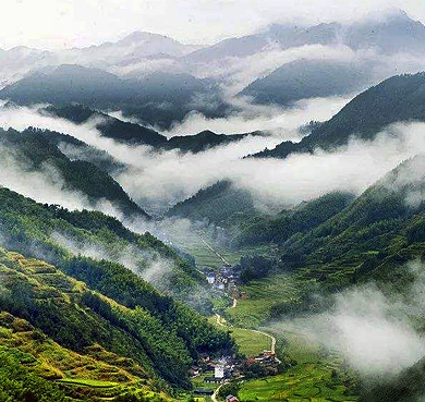 丽水市-遂昌县-仙霞岭·九龙山（1724米）国家级自然保护区