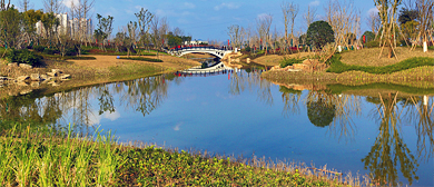 遂宁市-船山区-涪江（滨江）九莲洲生态湿地公园