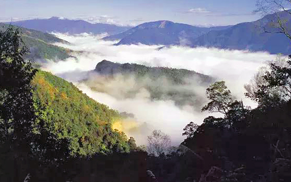 红河州-绿春县-黄连山（2637米）国家级自然保护区