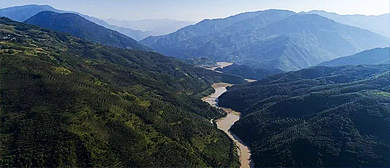 红河州-绿春县-李仙江（热带雨林）风景区