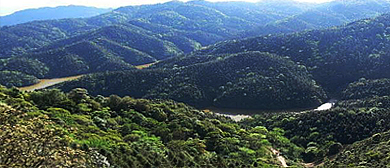 文山州-西畴县-小桥沟（鸡冠山）自然保护区