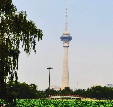 北京市-海淀区-中塔公园·中央电视塔（太平洋海底世界）|4A