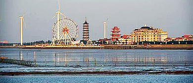上海市-奉贤区-柘林镇-渔人码头·海滨（杭州湾·东海）风景旅游区