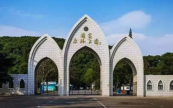 上海市-松江区-佘山国家森林公园（国家旅游度假区）风景旅游区|4A