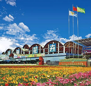 昆明市-呈贡区-昆明斗南国际花卉市场·交易中心