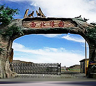 阿勒泰地区-青河县-西北狼文化园