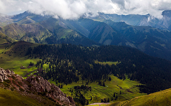 伊犁州-察布查尔县-琼博拉森林公园·白石峰（3475米）风景旅游区