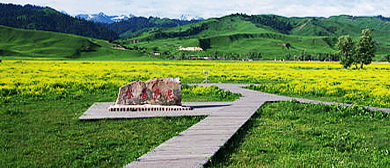 伊犁州-新源县-那拉提镇-那拉提·塔吾萨尼风景区 