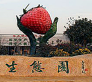 蚌埠市-蚌山区-燕山乡-海上明珠（草莓）生态园