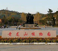 郴州市-临武县城-黄龙山植物园