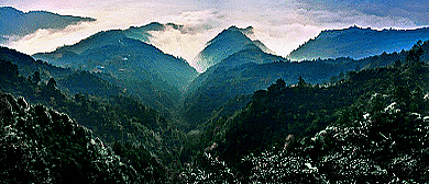 湘西州-泸溪县-武溪镇-天桥山自然保护区