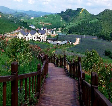 黔东南州-麻江县-龙山镇-蓝梦谷（万亩蓝莓生产基地）风景旅游区|4A
