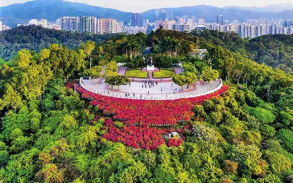 深圳市-福田区-莲花山公园（邓小平像·观景台）风景旅游区