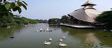 广州市-南沙区-南沙水鸟世界生态园·风景旅游区