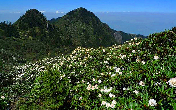 凉山州-德昌县-螺髻山（主峰·4359米）国家级风景名胜区