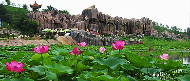 濮阳市-华龙区-中原绿色庄园（濮阳动物园）风景旅游区|4A