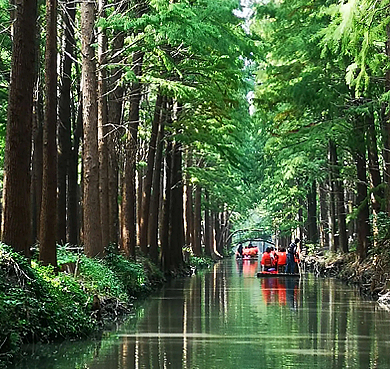 泰州市-兴化市-李中镇-水上森林公园·风景旅游区|4A
