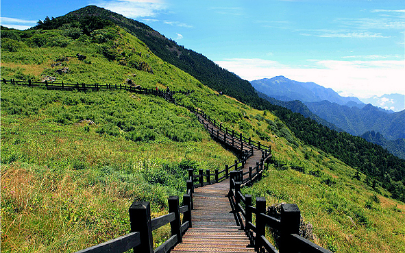 湖北省-神农架林区-神农架·神农顶风景旅游区|5A