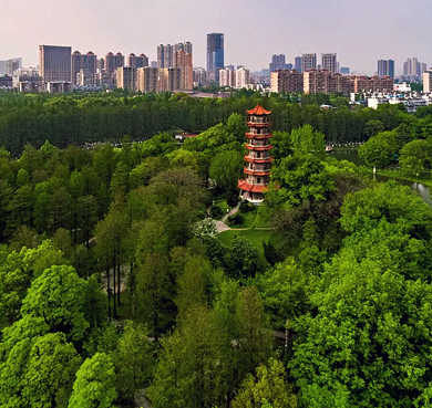 武汉市-江岸区-解放公园·中华名塔园