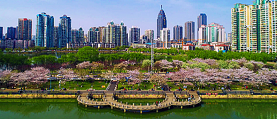 武汉市-江汉区-西北湖公园·绿化广场
