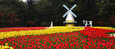重庆市-渝北区-重庆市花卉园·公园