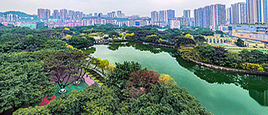 重庆市-大渡口区-大渡口公园