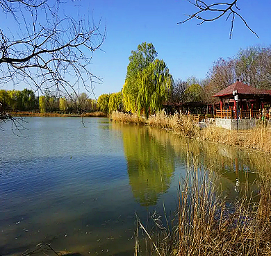 北京市-朝阳区-东坝郊野公园
