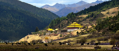 凉山州-木里县-乔瓦镇-康坞大寺·风景旅游区