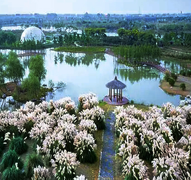 扬州市-高邮市-高邮湖·珠湖小镇（湿地公园）风景旅游区