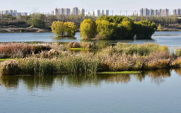 渭南市-临渭区-渭南渭河生态湿地公园