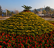 晋城市-城区-白马寺山植物园