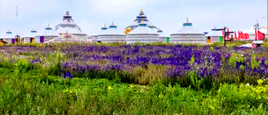包头市-达茂旗-诗画草原（旅游度假区）风景旅游区|4A