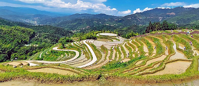 吉安市-遂川县-左安镇-桃源村·桃源梯田（遂川梯田）风景旅游区|4A