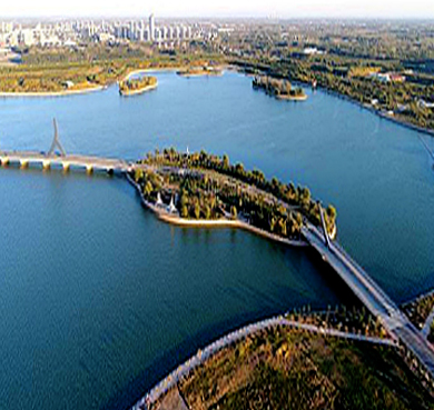 聊城市-茌平区-金牛湖国家湿地公园