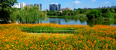 南宁市-江南区-江南公园·风景旅游区|4A