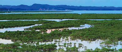 防城港市-东兴市-北仑河口国家级自然保护区（红树林）风景旅游区