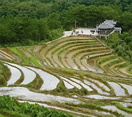 防城港市-上思县-南屏乡-上思瑶寨