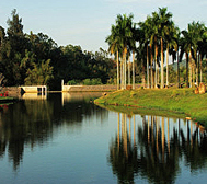海南省-儋州市-海南热带植物园