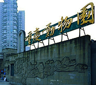 重庆市-九龙坡区-重庆动物园·风景旅游区|4A