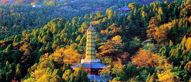 北京市-海淀区-香山公园（静宜园·|清|建筑群·香山红叶）风景旅游区|4A