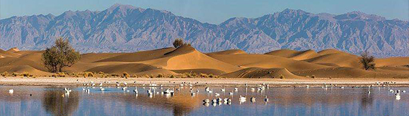 阿拉善盟-阿左旗-腾格里沙漠（阿拉善国家地质公园）风景旅游区