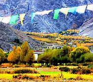 拉萨市-尼木县-吞巴乡-吞达村·尼木（吞巴藏香）国家森林公园