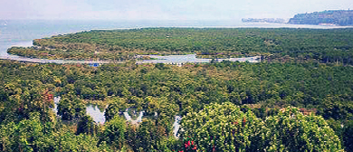 北海市-合浦县-山口红树林国家级自然保护区